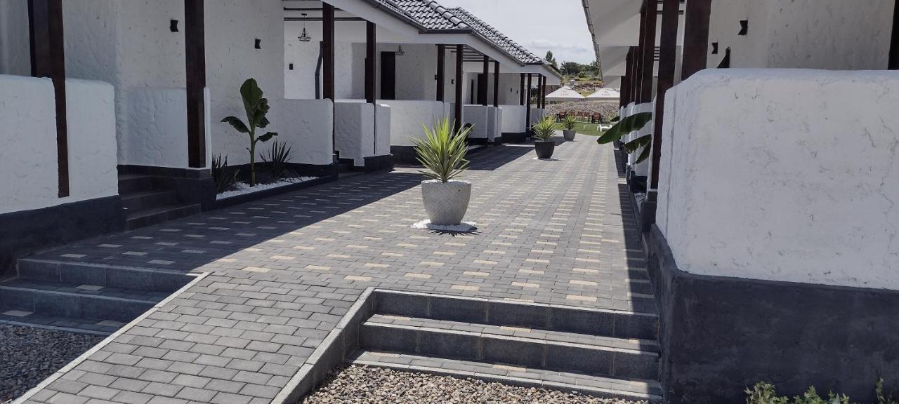 Bungalow Terra Kordu Băile Felix Zewnętrze zdjęcie